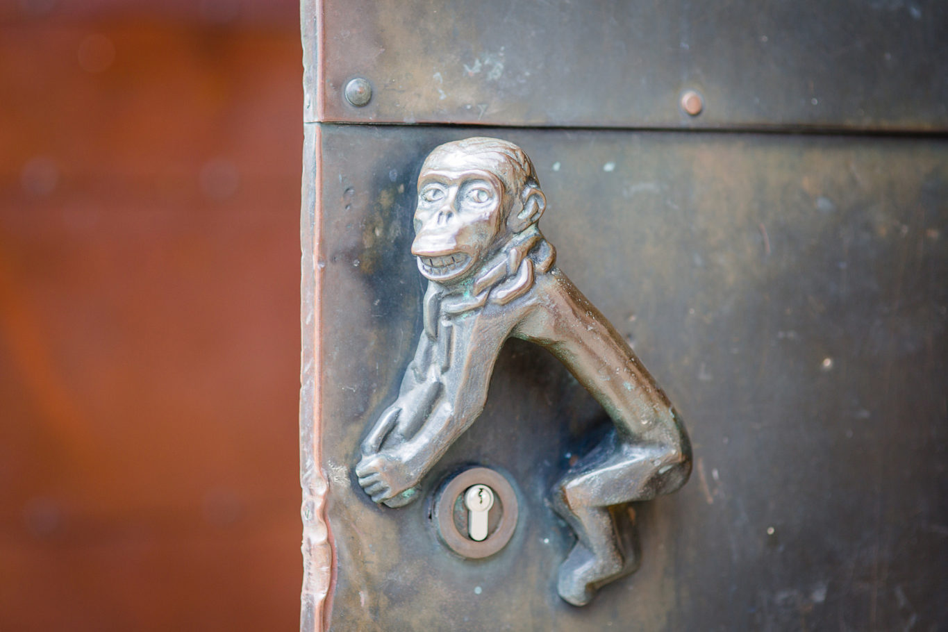 image33