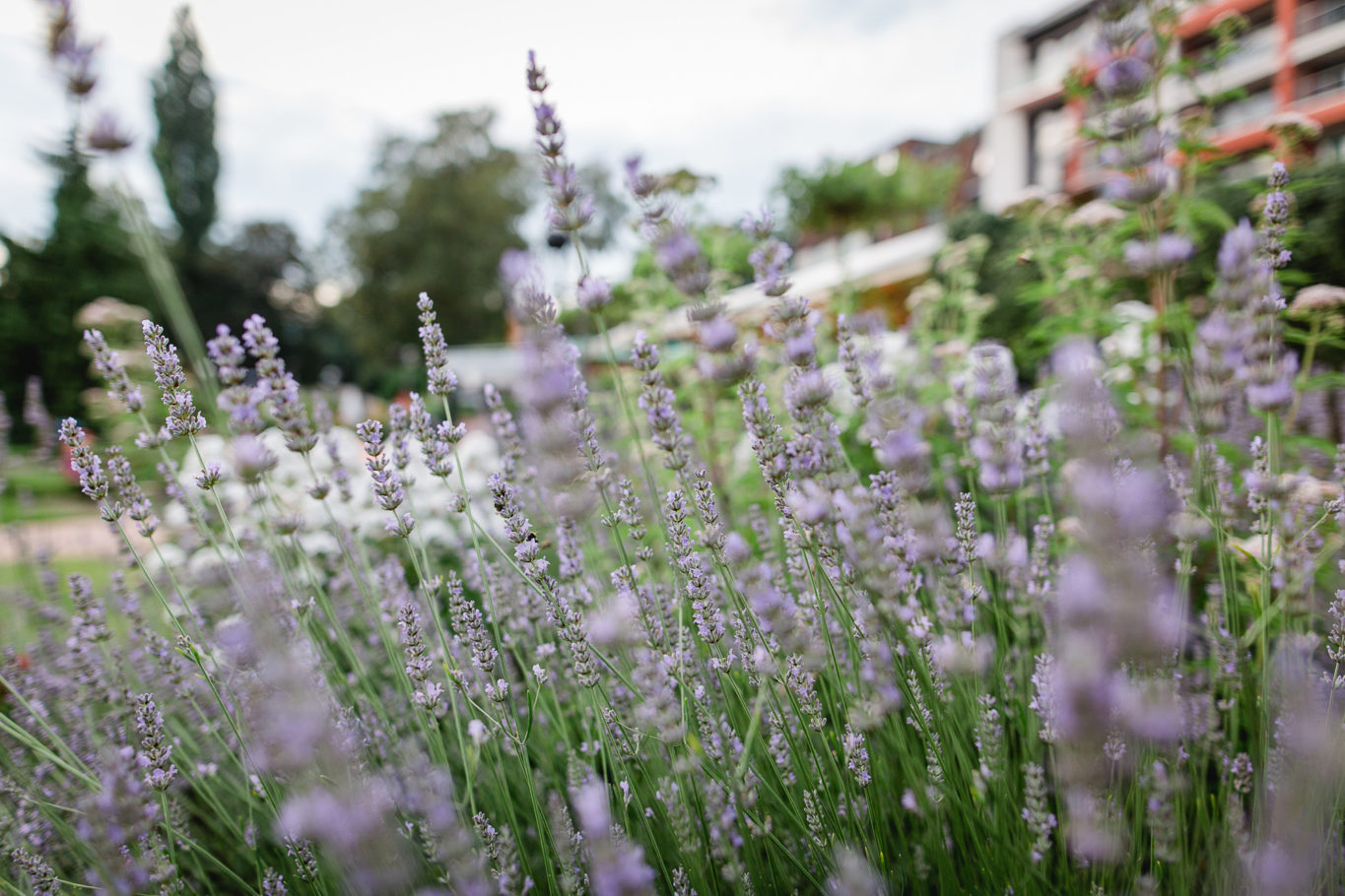 image68